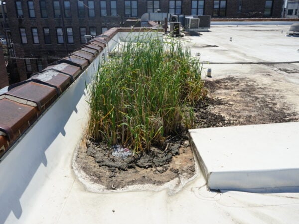 Scheduled Roof Maintenance 4